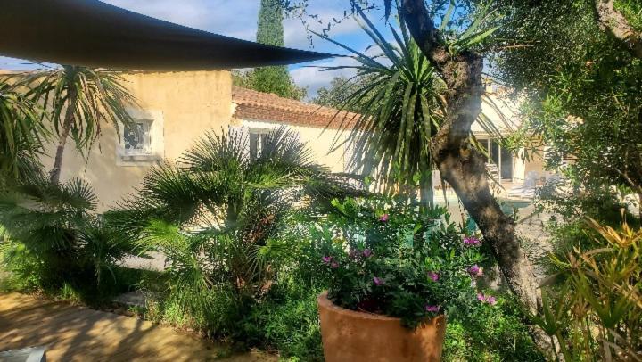 Le Clos Olives Comps  المظهر الخارجي الصورة