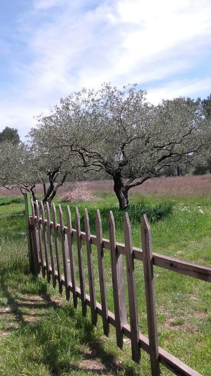 Le Clos Olives Comps  المظهر الخارجي الصورة