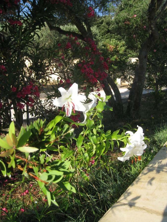 Le Clos Olives Comps  المظهر الخارجي الصورة